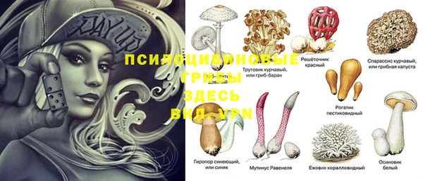 каннабис Алексеевка